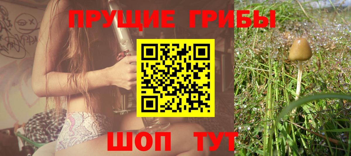 Петропавловск-Камчатский  Галлюциногенные грибы GOLDEN TEACHER  Вход с VPN  Псилоцибиновые грибы Magic Shrooms 